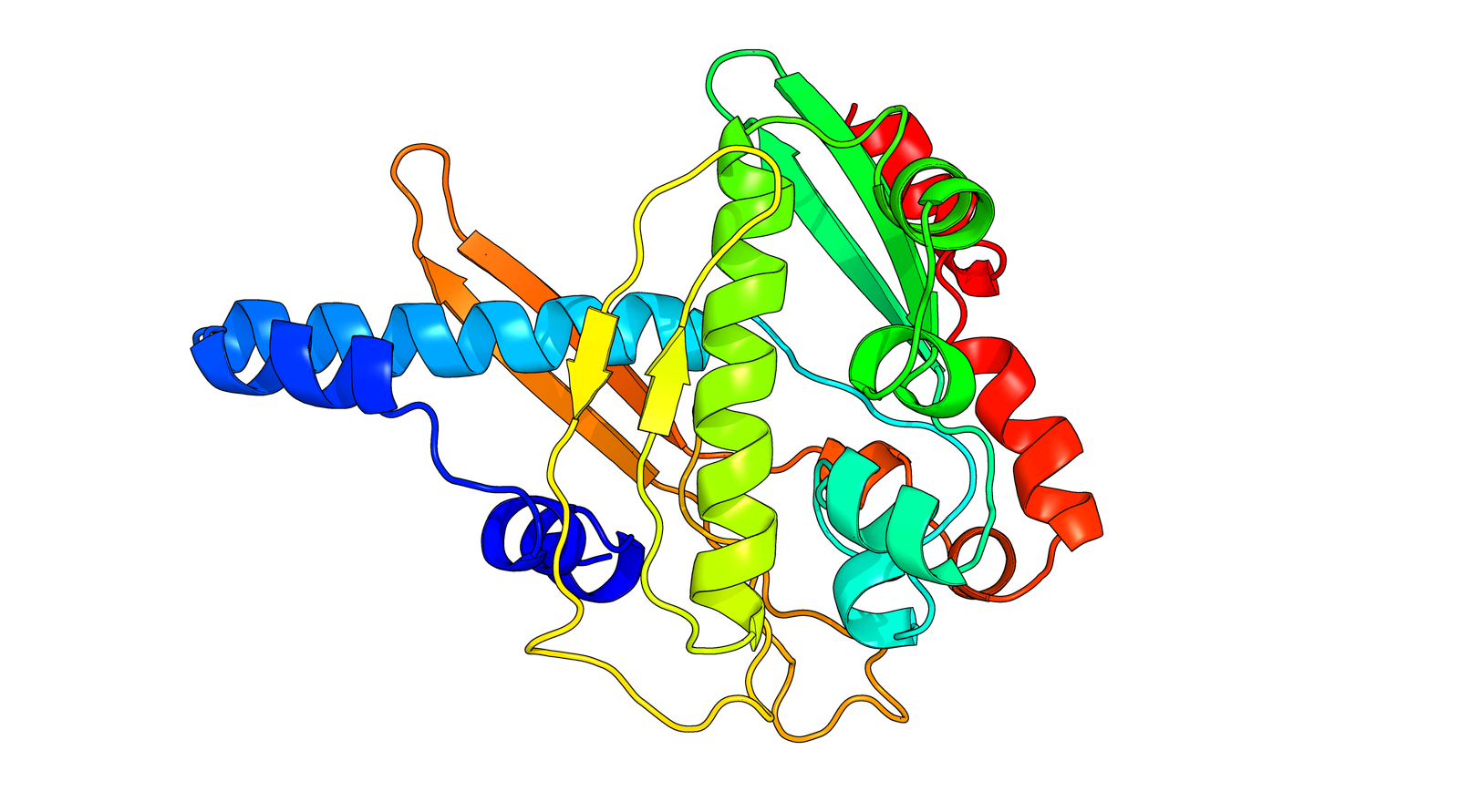 Protein Structure 1